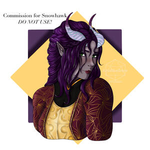 Commission for Snowhawk Commission for Snowhawk